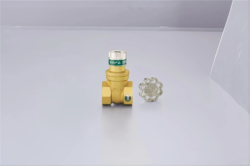 Magnetic Induction Locked Brass Gate Valve high quality